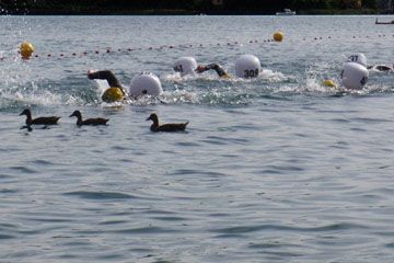 Swim crossing of the Lake